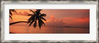 Framed Silhouette of palm tree on the beach at sunrise, Fihalhohi Island, Maldives