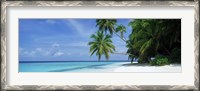 Framed Palm trees on the beach, Fihalhohi Island, Maldives