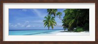 Framed Palm trees on the beach, Fihalhohi Island, Maldives
