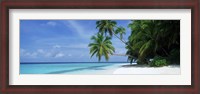 Framed Palm trees on the beach, Fihalhohi Island, Maldives