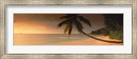 Framed Silhouette of a palm tree on the beach at sunset, Anse Severe, La Digue Island, Seychelles
