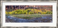 Framed Virgin River at Big Bend, Zion National Park, Springdale, Utah, USA