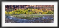 Framed Virgin River at Big Bend, Zion National Park, Springdale, Utah, USA