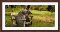 Framed Bears sitting on a bench