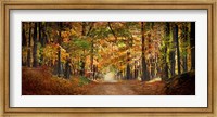 Framed Horse running across road in fall colors