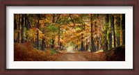 Framed Horse running across road in fall colors