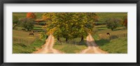 Framed Two dirt roads passing through farms in autumn