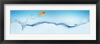 Framed Goldfish jumping out of water