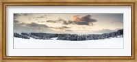 Framed Trees on a snow covered hill, Black Forest, Baden-Wurttemberg, Germany