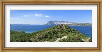 Framed Trees on a hill, Capo Coda Cavallo, Baronia, Sardinia, Italy