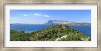 Framed Trees on a hill, Capo Coda Cavallo, Baronia, Sardinia, Italy
