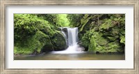 Framed Water in a forest, Geroldsau Waterfall, Black Forest, Baden-Wurttemberg, Germany