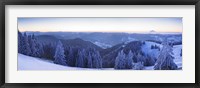 Framed Snow covered trees on a hill, Feldberg Mountain, Black Forest, Baden-Wurttemberg, Germany