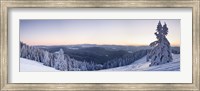 Framed Snow covered trees on a hill, Belchen Mountain, Black Forest, Baden-Wurttemberg, Germany