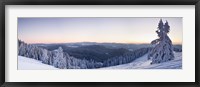 Framed Snow covered trees on a hill, Belchen Mountain, Black Forest, Baden-Wurttemberg, Germany
