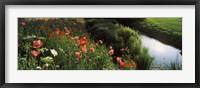 Framed Wildflowers, Crakehall Beck, Crakehall, North Yorkshire, England