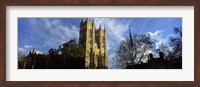 Framed Low angle view of an abbey, Westminster Abbey, City of Westminster, London, England