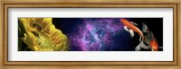 Framed Sunflower and Koi Carp in space