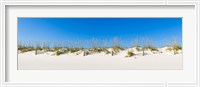 Framed Sand dunes on Gulf Of Mexico, Orange Beach, Baldwin County, Alabama, USA