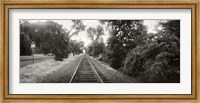 Framed Railroad track, Napa Valley, California, USA