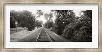 Framed Railroad track, Napa Valley, California, USA