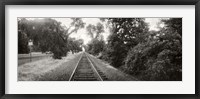 Framed Railroad track, Napa Valley, California, USA