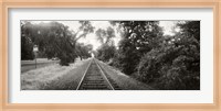 Framed Railroad track, Napa Valley, California, USA