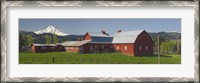 Framed Barns in field with mountains in the background, Mt Hood, The Dalles, Oregon, USA