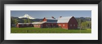 Framed Barns in field with mountains in the background, Mt Hood, The Dalles, Oregon, USA