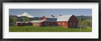 Framed Barns in field with mountains in the background, Mt Hood, The Dalles, Oregon, USA