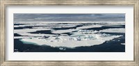 Framed Ice floes on the Arctic Ocean, Spitsbergen, Svalbard Islands, Norway