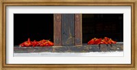 Framed Red chilies drying on window sill, Paro, Bhutan