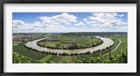 Framed High angle view of vineyards, Neckar River, Mundelsheim, Baden-Wurttemberg, Germany