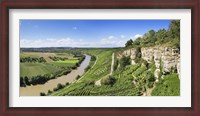 Framed High angle view of vineyards, Neckar River, Hessigheim, Baden-Wurttemberg, Germany