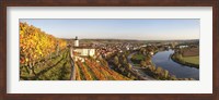 Framed Vineyards around a castle, Horneck Castle, Gundelsheim, Baden-Wurttemberg, Germany