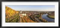 Framed Vineyards around a castle, Horneck Castle, Gundelsheim, Baden-Wurttemberg, Germany