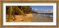 Framed Palm trees on the edge of a small beach, Seychelles