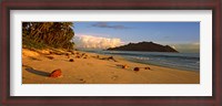 Framed Coconuts on a palm lined beach on North Island with Silhouette Island in the background, Seychelles