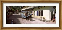 Framed Ox-drawn cart in a street, La Digue Island, Seychelles