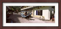 Framed Ox-drawn cart in a street, La Digue Island, Seychelles