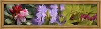 Framed Details of bright colors flowers