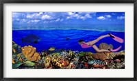 Framed Diver along reef with parrotfish, Green Moray Eel and White Spotted Filefish (Cantherhines macrocerus) underwater