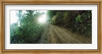 Framed Dirt road through a forest, Chiang Mai Province, Thailand