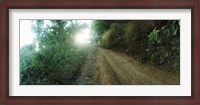 Framed Dirt road through a forest, Chiang Mai Province, Thailand