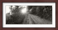 Framed Dirt road through a forest, Chiang Mai Province, Thailand (black and white)