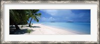 Framed Palm trees on the beach, Tapuaetai, Aitutaki, Cook Islands