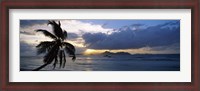 Framed Silhouette of coconut palm tree at sunset, from Anse Severe Beach, La Digue Island, Seychelles