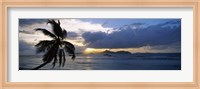 Framed Silhouette of coconut palm tree at sunset, from Anse Severe Beach, La Digue Island, Seychelles