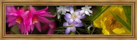 Framed Flowers in pastel colors