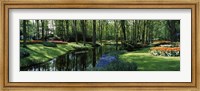 Framed Flower beds and trees in Keukenhof Gardens, Lisse, Netherlands